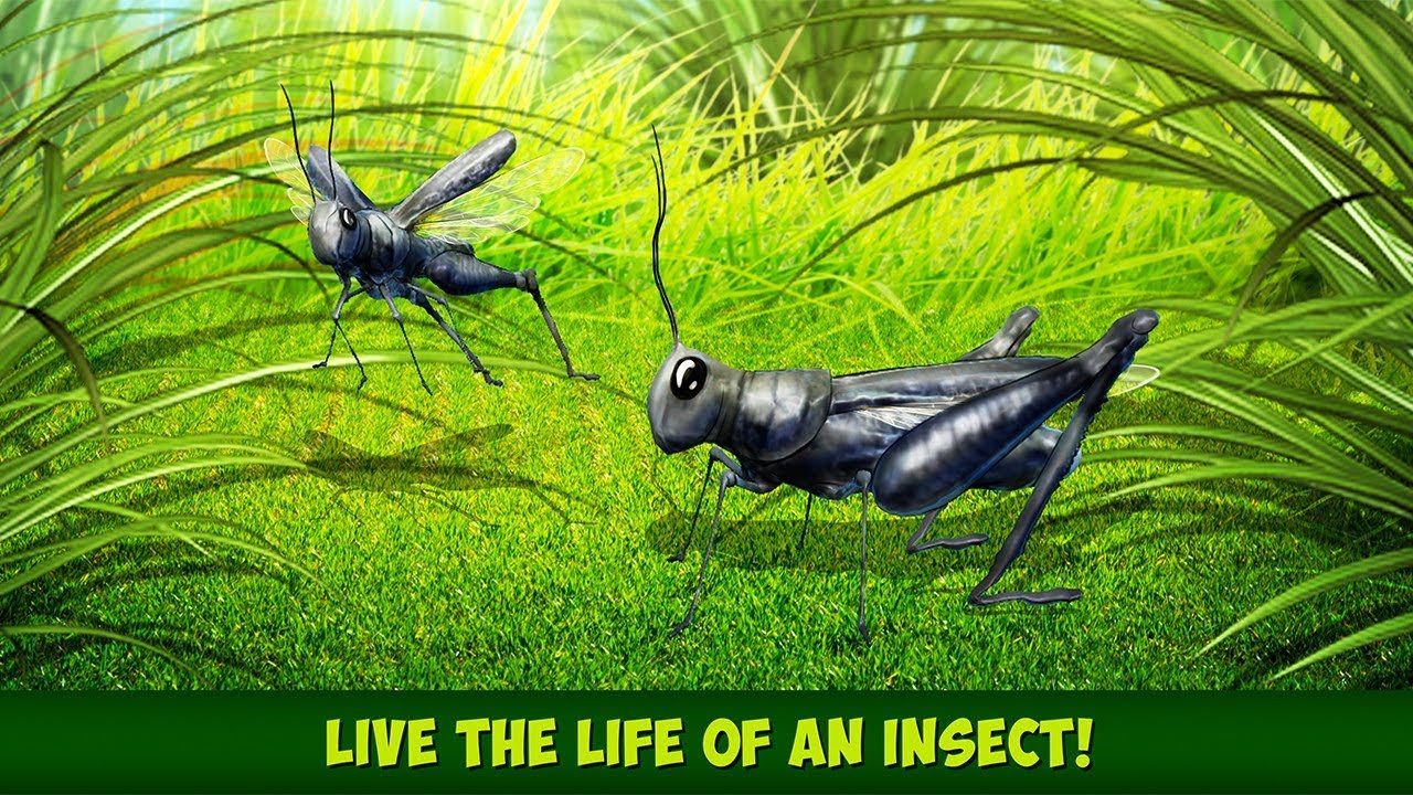 Insect Paint Simulator Insect Simulator: Pre-Alpha Controls and Gameplay Guide - SteamAH