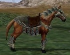 Metin2: How to Get a Horse