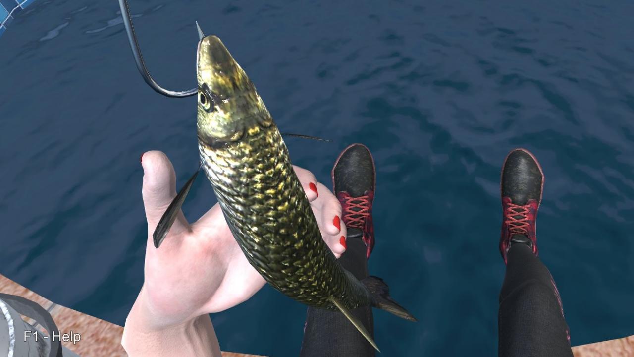 Hand Simulator: How to Fish (Step-By-Step)