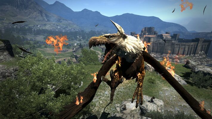 Dragon's Dogma - Save Data for Nintendo Switch - No Game Included  13388410125