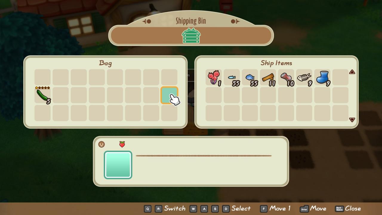Story of Seasons: Friends of Mineral Town Fishing Guide (Without Using Stamina)