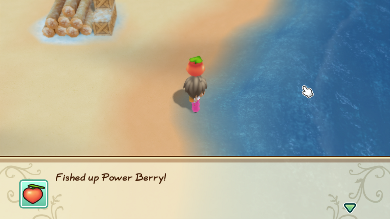 Story of Seasons: Friends of Mineral Town All Power Berries & Special Berry Location