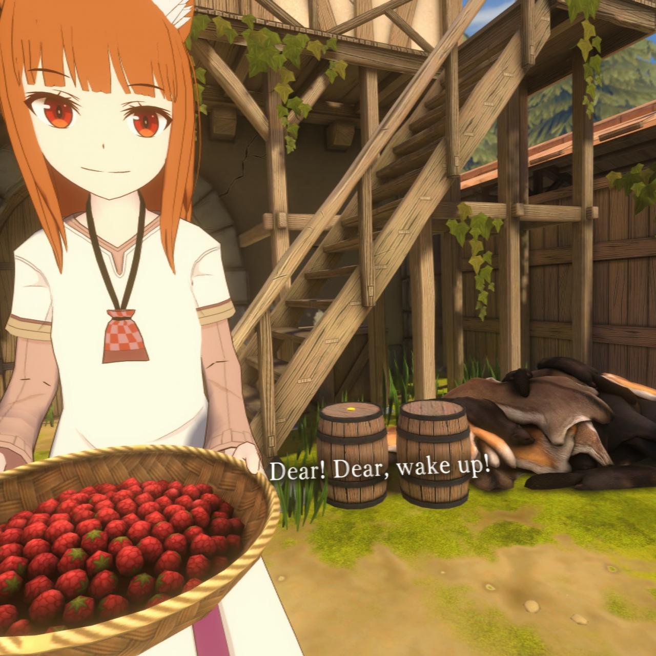 Spice&Wolf VR2 Hidden Coin Locations Guide