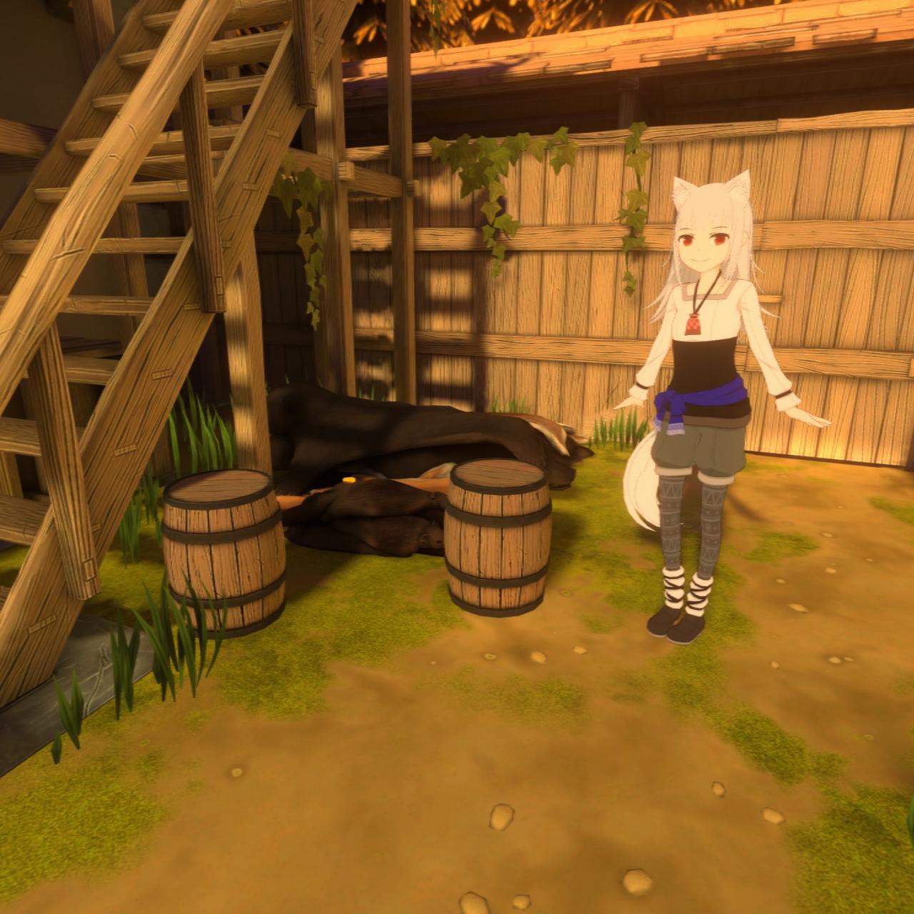 Spice&Wolf VR2 Hidden Coin Locations Guide