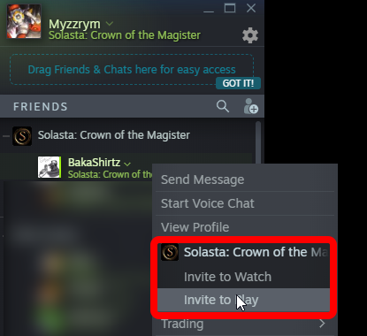 Solasta: Crown of the Magister Multiplayer Guide How to Host and Join