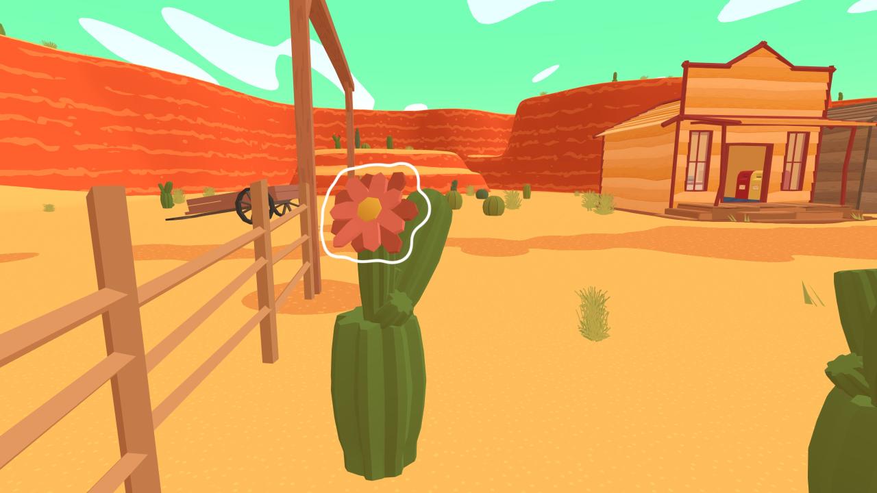 Frog Detective 3: Corruption at Cowboy County Cactus Flower Locations
